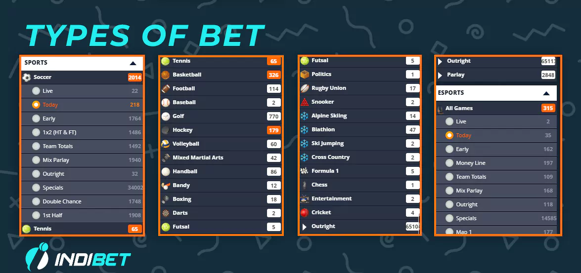 How to make bets on Indibet.