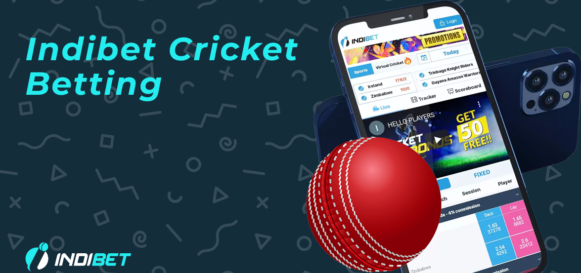 Bet On Cricket At The Indibet Website And Earn Real Money